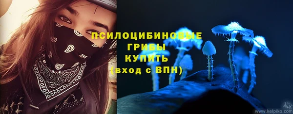 ECSTASY Богданович