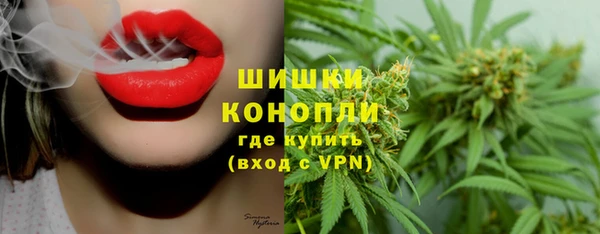 спиды Богородск