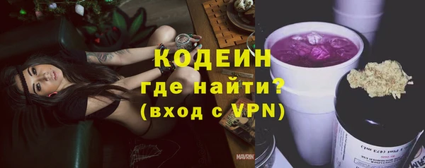 ECSTASY Богданович