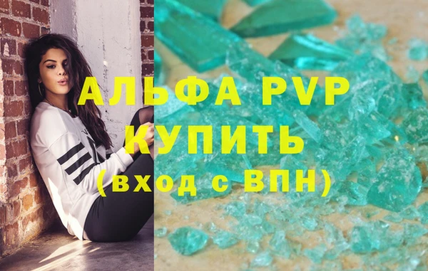 ECSTASY Богданович