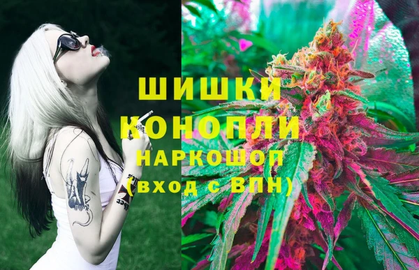 ПСИЛОЦИБИНОВЫЕ ГРИБЫ Богородицк