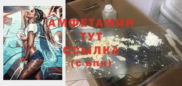 ECSTASY Богданович