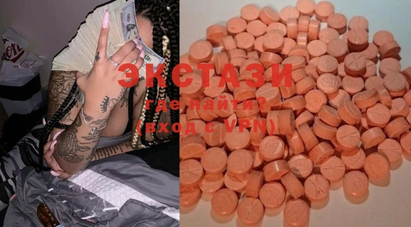 ECSTASY Богданович