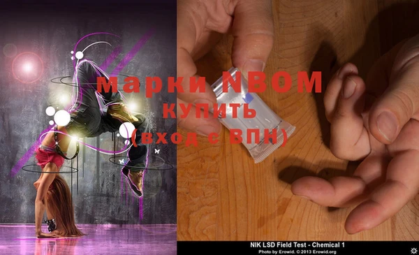 ECSTASY Богданович