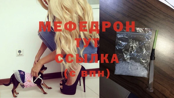 спиды Богородск