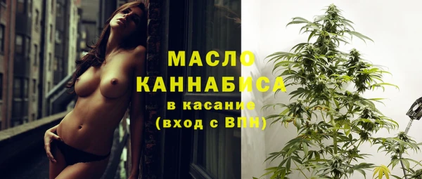 ECSTASY Богданович
